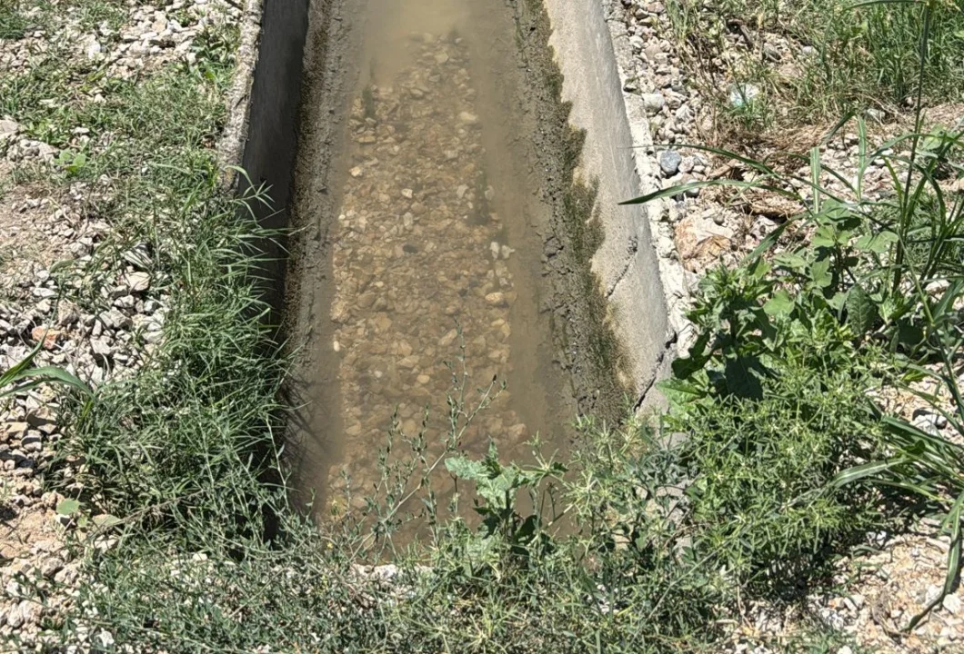 CEYHAN’LI ÇİFTÇİLER ZOR DURUMDA: MISIR ÜRETİCİSİ SUSUZ KALDI